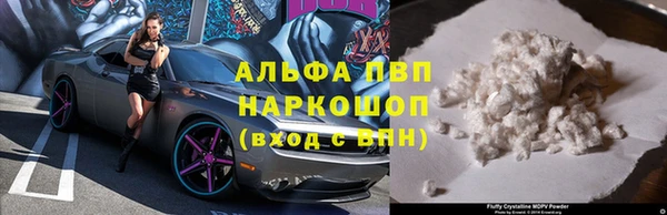 индика Краснослободск