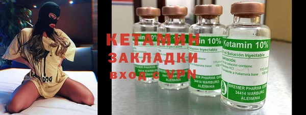 индика Краснослободск