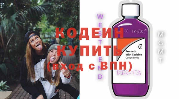 индика Краснослободск