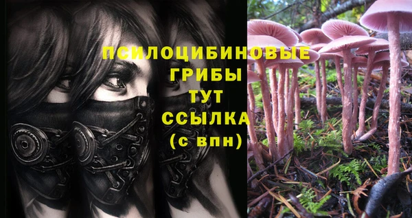 MDMA Кукмор