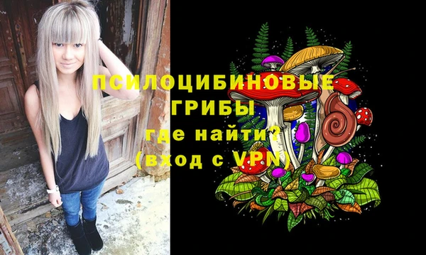 дживик Краснотурьинск