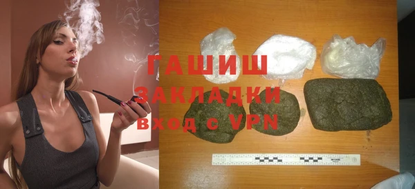 индика Краснослободск