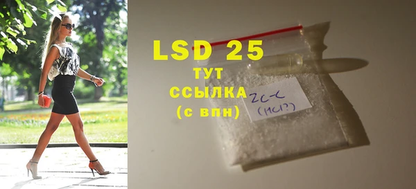 индика Краснослободск