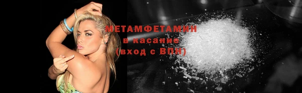 индика Краснослободск