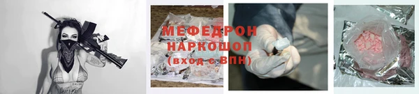 индика Краснослободск
