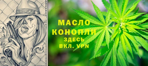индика Краснослободск