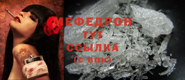 индика Краснослободск