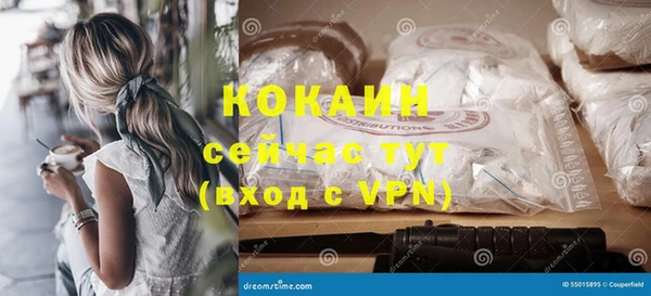 сатива Кулебаки
